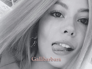 Gallibarbara