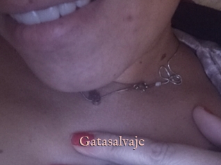 Gatasalvaje