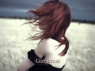 Gingercat