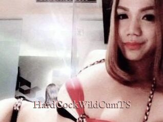 HardCockWildCumTS