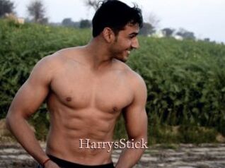 HarrysStick