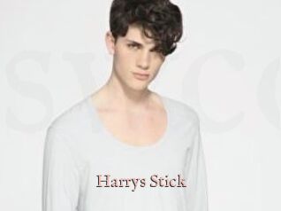 Harrys_Stick