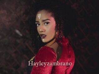 Hayleyzambrano