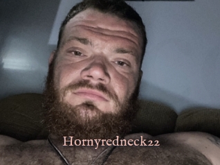 Hornyredneck22