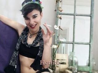 Hotfibi