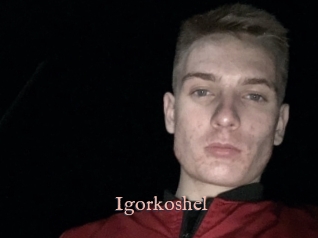 Igorkoshel