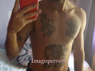 Imagopervert