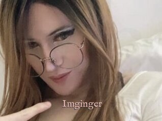 Imginger