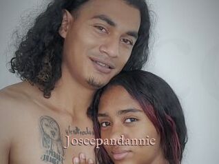 Joseepandannie