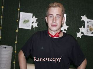 Kanesteepy