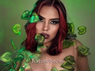 Karimebueno