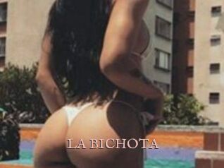LA_BICHOTA