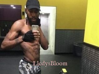 Lledys_Bloom