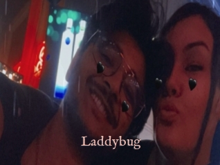 Laddybug