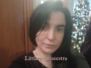 Littlesurpriseestra