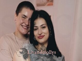 Livandmollys