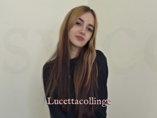 Lucettacollinge