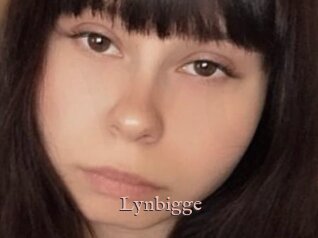 Lynbigge