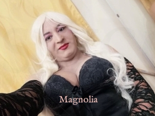 Magnolia