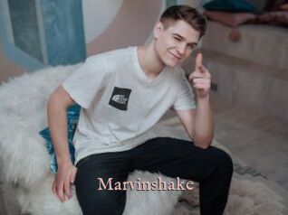 Marvinshake