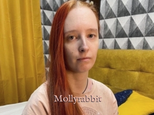 Mollyrabbit