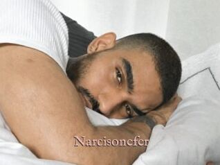 Narcisonefer