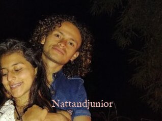 Nattandjunior
