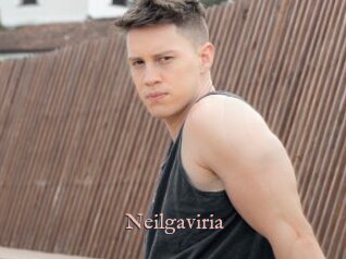 Neilgaviria
