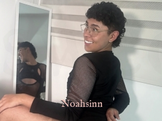 Noahsinn