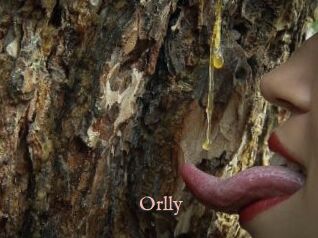 Orlly