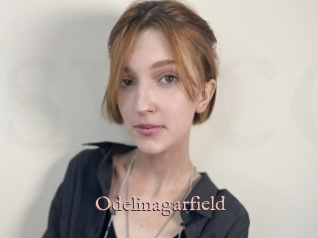 Odelinagarfield
