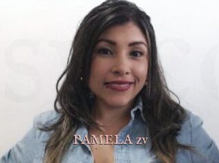 PAMELA_zv