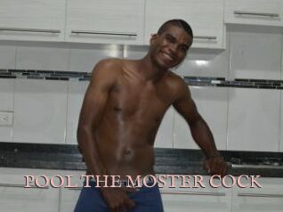POOL_THE_MOSTER_COCK
