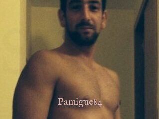 Pamigue84