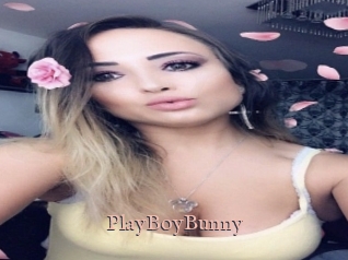 PlayBoyBunny