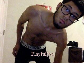 PlayfulJoe