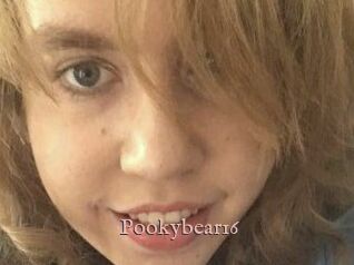 Pookybear16