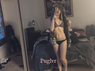 Puglvr