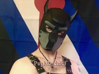 PupMischief