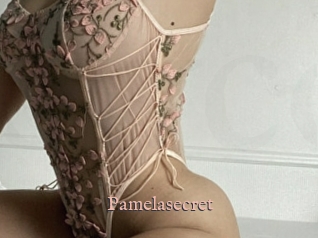 Pamelasecret