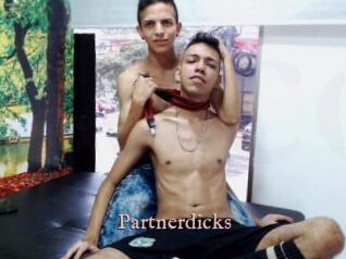 Partnerdicks