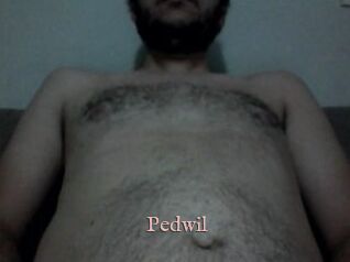 Pedwil