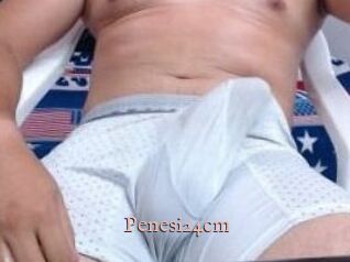 Penesi24cm