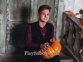 Playfulboydavid