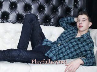 Playfulboynoi