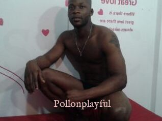 Pollonplayful