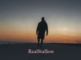 RealStallion
