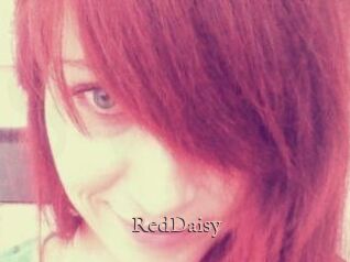 RedDaisy