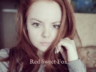 Red_Sweet_Fox