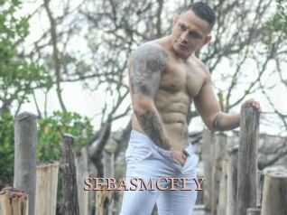 SEBASMCFLY